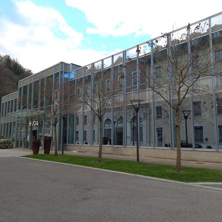 Residence Du Parc Saint-Martin-dʼUriage المظهر الخارجي الصورة