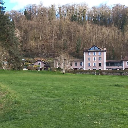 Residence Du Parc Saint-Martin-dʼUriage المظهر الخارجي الصورة